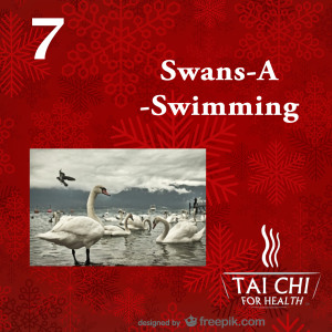 7 Swans a Swimming